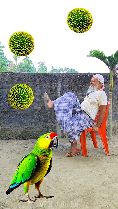 Rounding deep 🟢 kadambas to Duck, Peacock, Pigeon & Parrot - Birds names magic video
