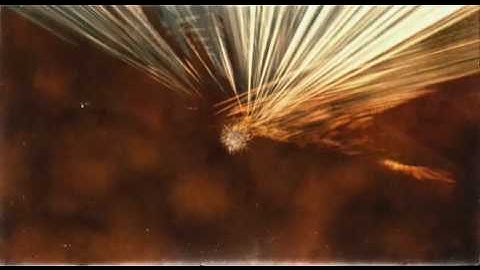 BT - This Binary Universe - 05 - Pt.2/2 - See You On The Other Side