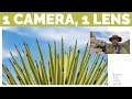 1 Camera, 1 Lens in Joshua Tree National Park - Landscape Photography with the Nikon 24-200mm z7ii