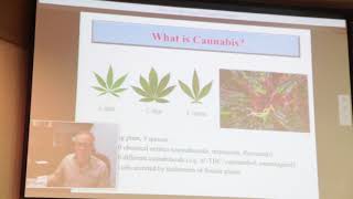 Medical Cannabis and Chronic Disease (Windsor, ON - Jan 31, 2018)