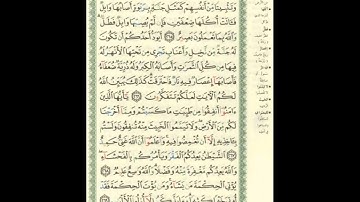 الورد اليومى.. سورة البقرة من الاية 265 الى الاية 269 بصوت القارئ الشيخ ماهر المعيقلى