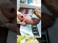 Bayi baru lahir Pijat bayi Bayi menangis dipijat