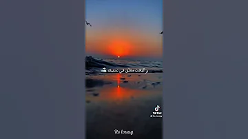 Nabil Louhichi Ya Roma نبيل الوحيشي يا روما 