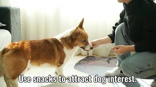 LUCKYPAW Soft Velcro Dog Muzzle - How to Fit and Use screenshot 4