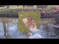 Spring Is Coming Morunas 1 Hour Loop Rain 