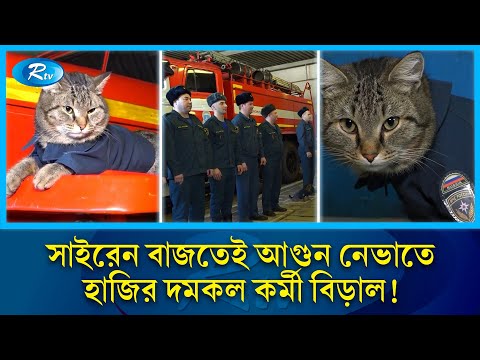 Internetda jinsiy aloqada bolgan keksa er-xotin Katta qora dik bilan, qichqiriqlar va koz yoshlar