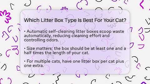 Which Litter Box Type Is Best For Your Cat? - Happy Cat Handbook