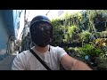 What is it Like Living in Saigon Vietnam and What To Expect