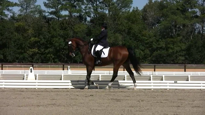 Rhonda & Titus 4th Level Freestyle