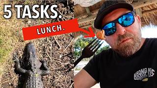 Man VS Alligator: Who's Lunch? | 5 Van Life Goals of the Everglades