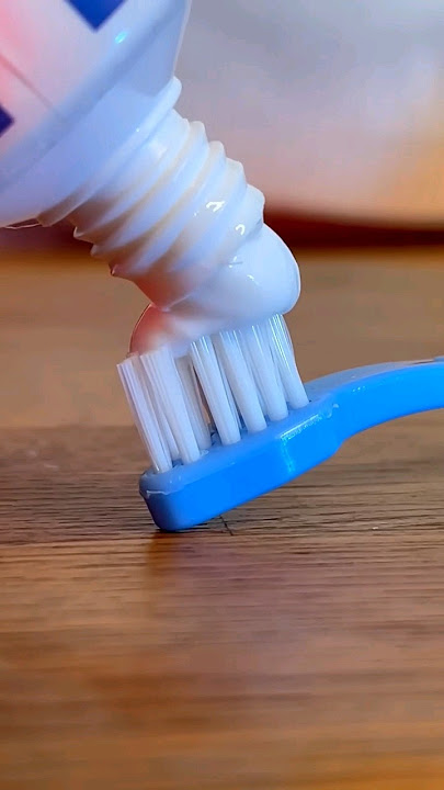 Cute cat really cute toothbrush -- my kucing lucu sikat gigi lucu banget😍