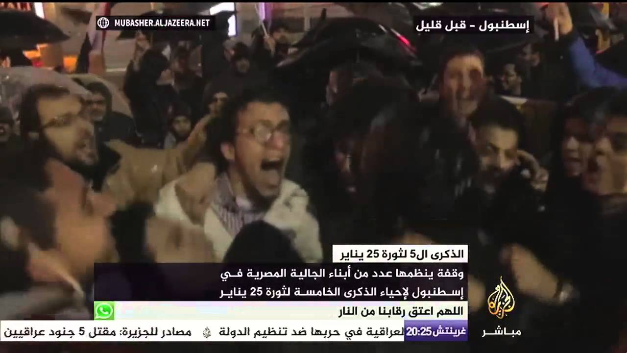 وقفة للجالية المصرية في إسطنبول لإحياء الذكرى الخامسة لثورة ٢٥ يناير