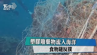 塑膠廢棄物流入海洋　食物鏈反撲