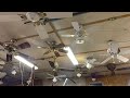 Ceiling fan display 6