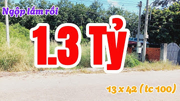 Đất Dầu Tiếng | Một lô đất siêu đẹp 13 x 42 ( tc 100) giá ngộp  #605