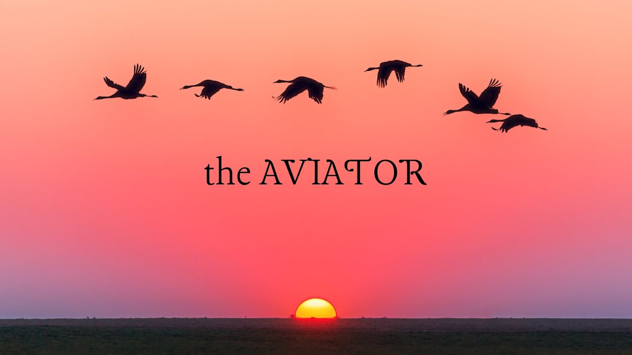 The Aviator: Howard Hughes' Turbulent Journey. Based on true story.