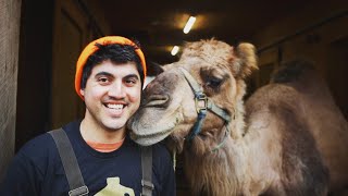 Rsyslog Biggest HIDDEN Danger to Camels Tutorial