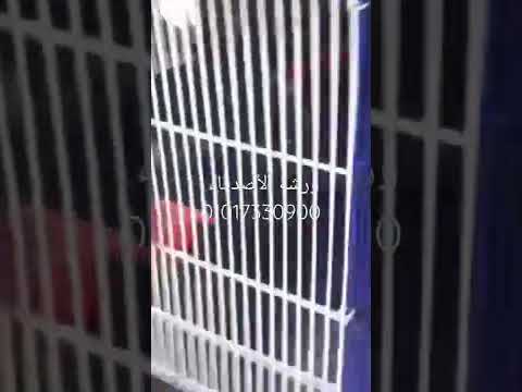 اقفاص كوكتيل ٥٠ ف ٥٠