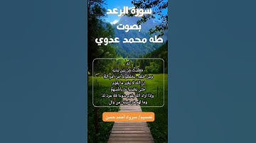 ما تيسر من سورة الرعد 1