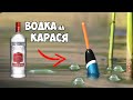 КАРАСЬ на ВОДКУ в ДИКОМ БОЛОТЕ!!! ЛУЧШИЙ АКТИВАТОР КЛЁВА!!! РЫБАЛКА на КАРАСЯ с ПОПЛАВОКОМ