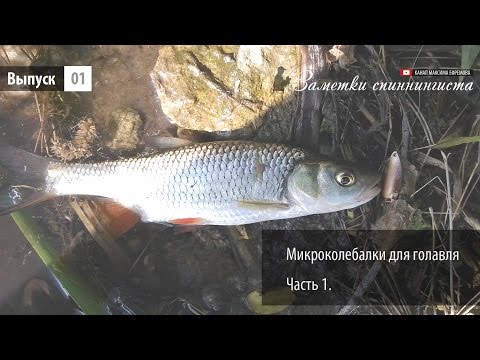 Микроколебалки для голавля. Часть1.