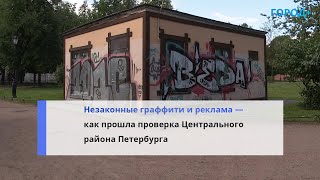 Антивандальный Рейд: В Петербурге После Проверки Гати Возбудили 50 Административных Дел