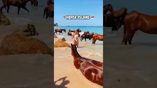 Islands Infested With Animals! #Shorts #Travel #Animals