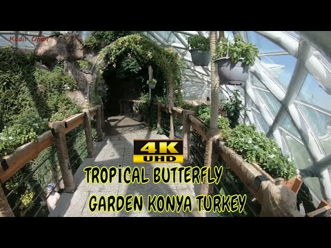 Konya Tropical Butterfly Garden / KONYA Butterfly Valley / 4K VLOG