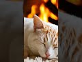 Cat s Cozy Fireplace ASMR 🐱🔥  | Deep Sleep &amp; Anxiety Relief
