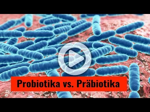 Probiotika versus Präbiotika