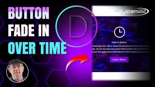 Divi Theme Button Fade In Over Time 👍👍👍