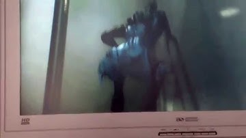 Warframe clan dojo wall glitch