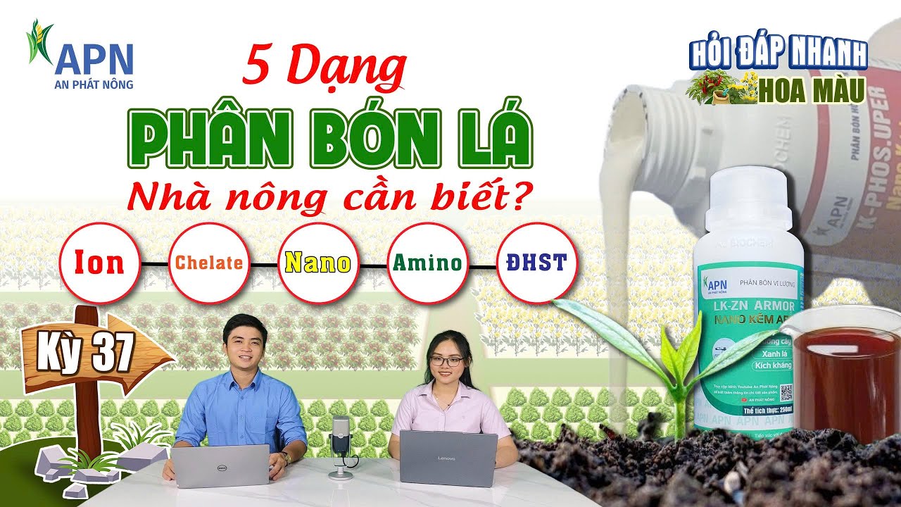 APN - 5 DẠNG PHÂN BÓN LÁ CƠ BẢN NHÀ NÔNG CẦN BIẾT