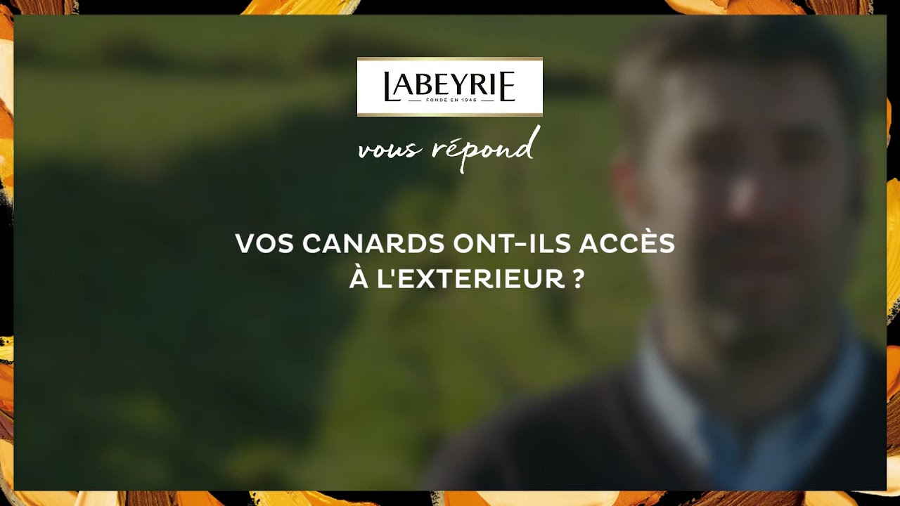 Labeyrie vous répond - Vos canards ont-ils accès à l'extérieur ?