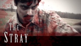 The Stray - Featured Trailer - Indie Horror