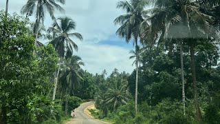 Spice Farm Tour || Zanzibar ||Dar es salaam city tour