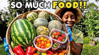 I Harvested SO MUCH From My Garden Today! | Watermelon,Cantaloupe, Peppers,Tomatoes, Okra + MORE!!!