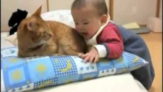 Baby Tries To Eat Cat Tail