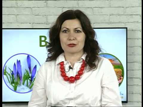 Ранок-панок. Мовна хвилинка. Афоризми. "Промовка про вовка..."