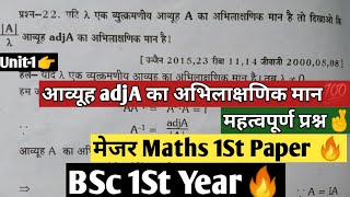 |BSc 1St Year Major Maths 1St Paper|??|Important Question|??|Aavyuh adjA Ka Abhilakshnik Maan|