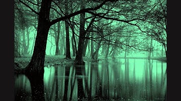 Mortiis - Fodt til A Herske Part II