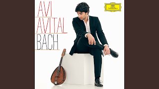 J.S. Bach: Violin Concerto No. 1 in A minor, BWV 1041 - II. Andante (Transcr. for Mandolin and...