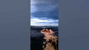 أَرَأَيْتَ إِن كَذَّبَ وَتَوَلَّىٰ - الشيخ محمد صديق المنشاوي- سورة العلق