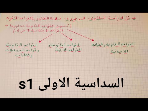 فيديو: حاملات المظلات شيء لا غنى عنه ومريح