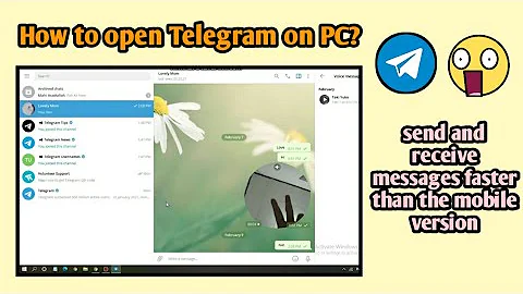 Come avere Telegram sul PC?