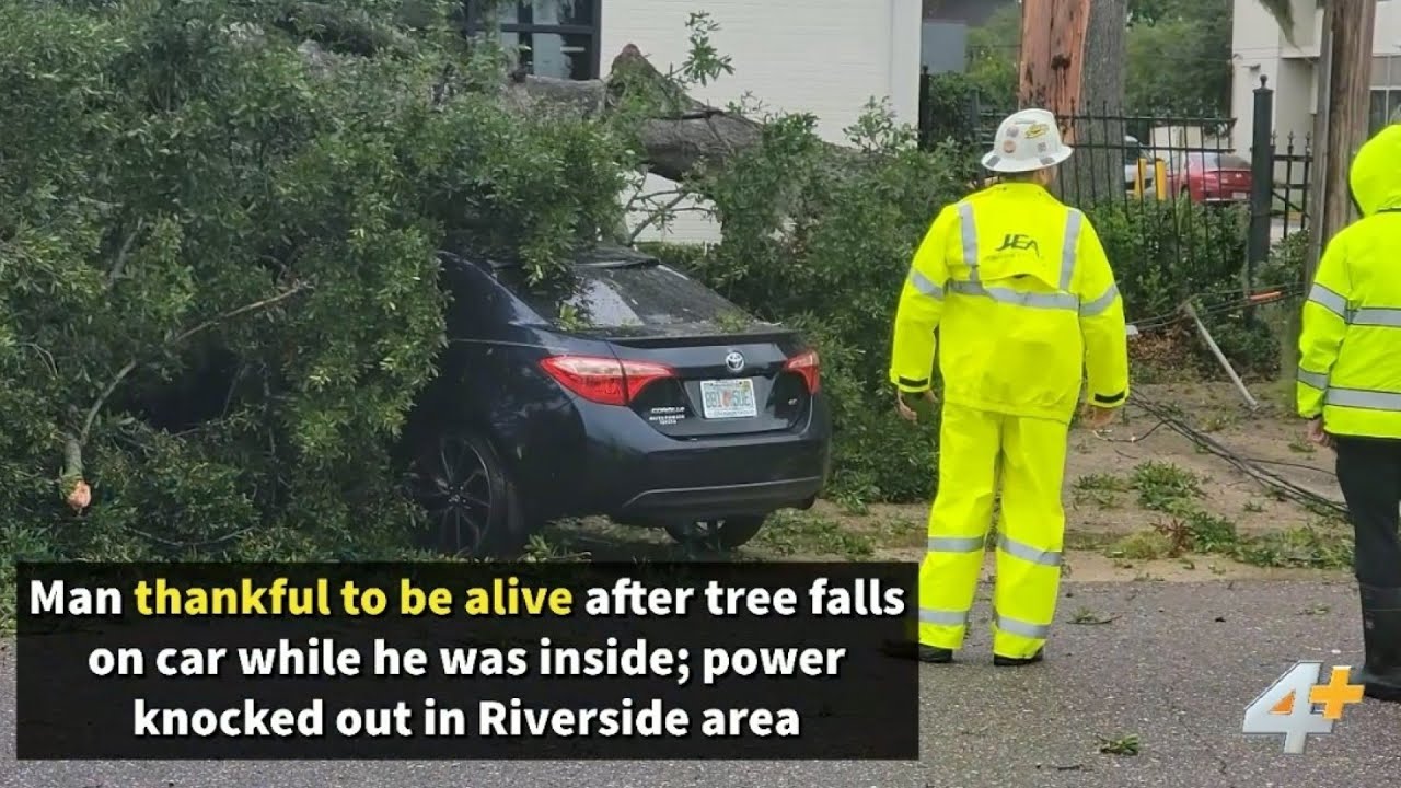 Man thankful to be alive after tree falls on car while he was inside ...