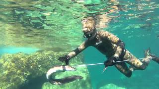 pesca congrios