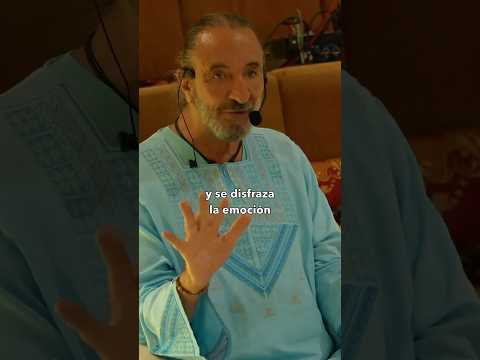 Emociones conectadas en el Seminario Renäser