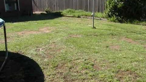 HSP Warhead, First run after tune in.