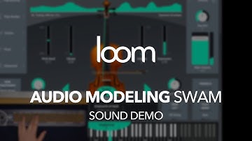 Loom: Audio Modeling SWAM